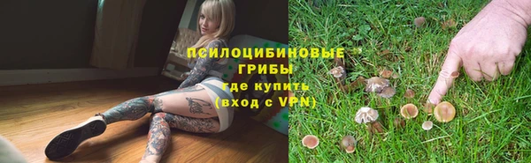 дурь Алзамай
