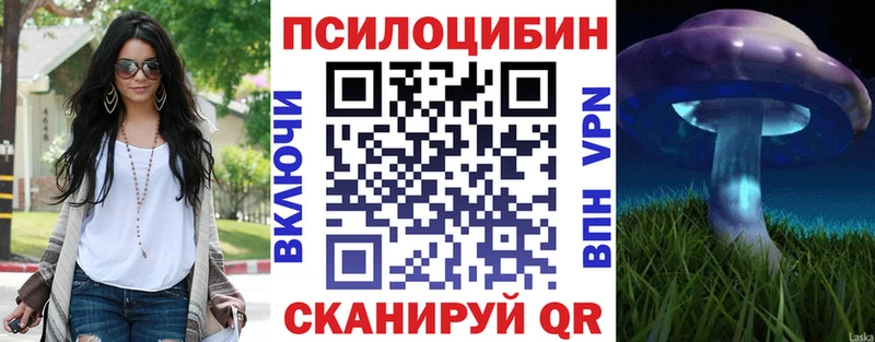 Псилоцибиновые грибы Psilocybe  как найти   Долинск 
